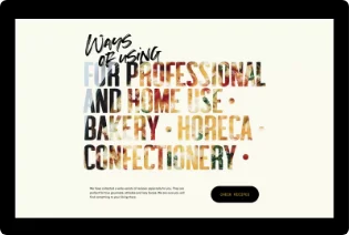 Website development services in usa